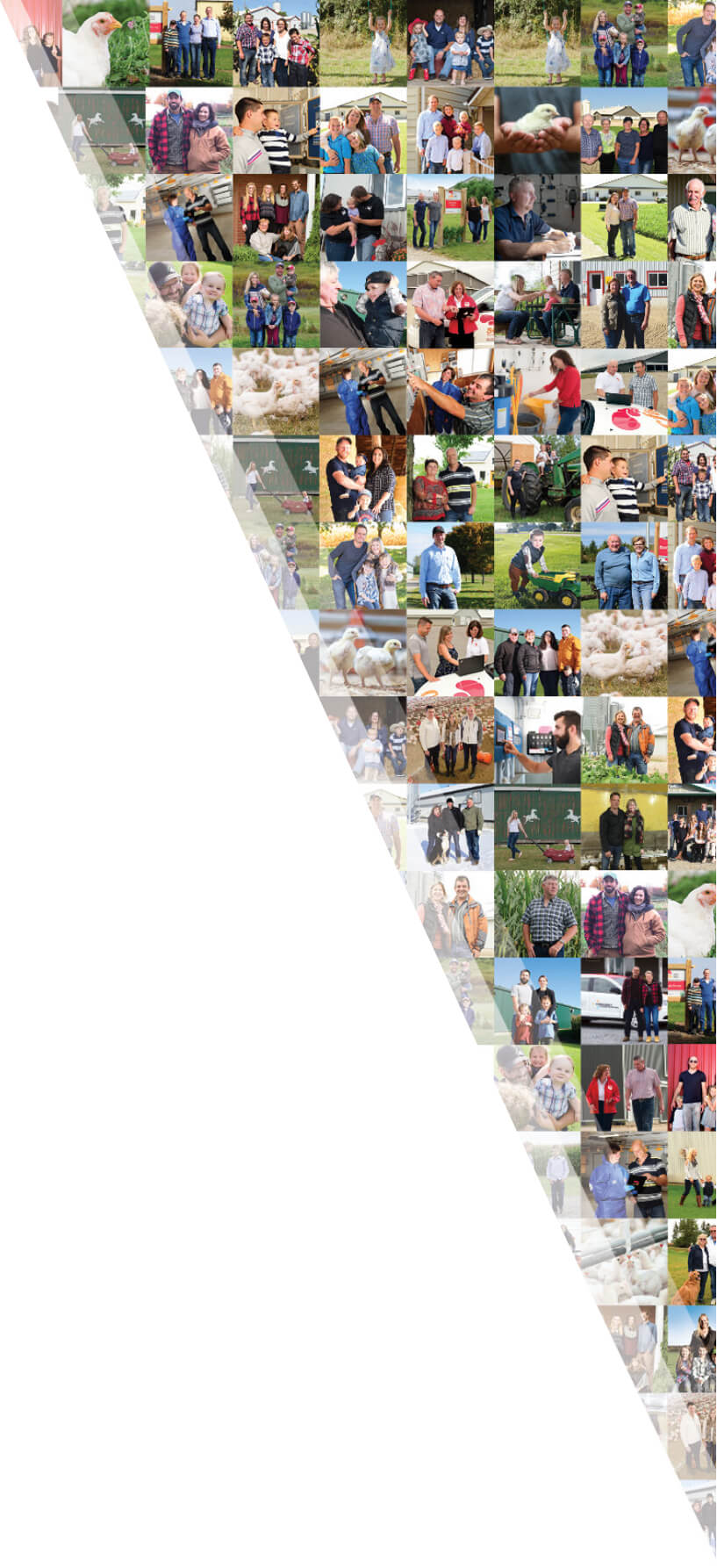 a collage of farmer-member images in the shape of a triangle