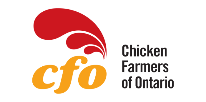 The Full CFO Logo
