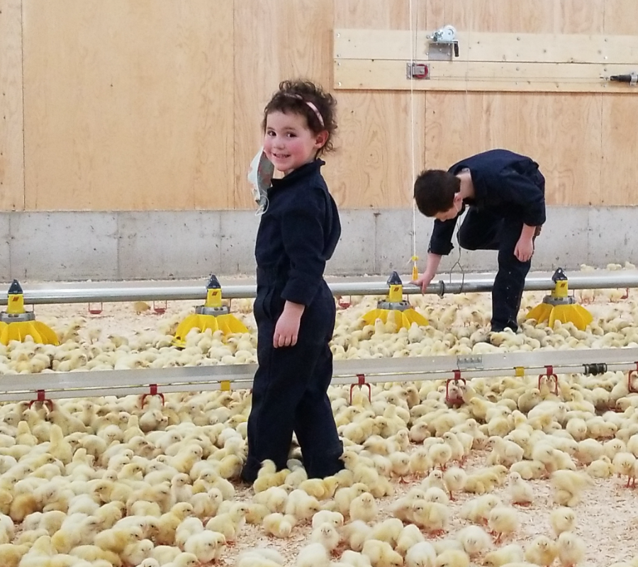 The Scott Family working in a chicken barn
