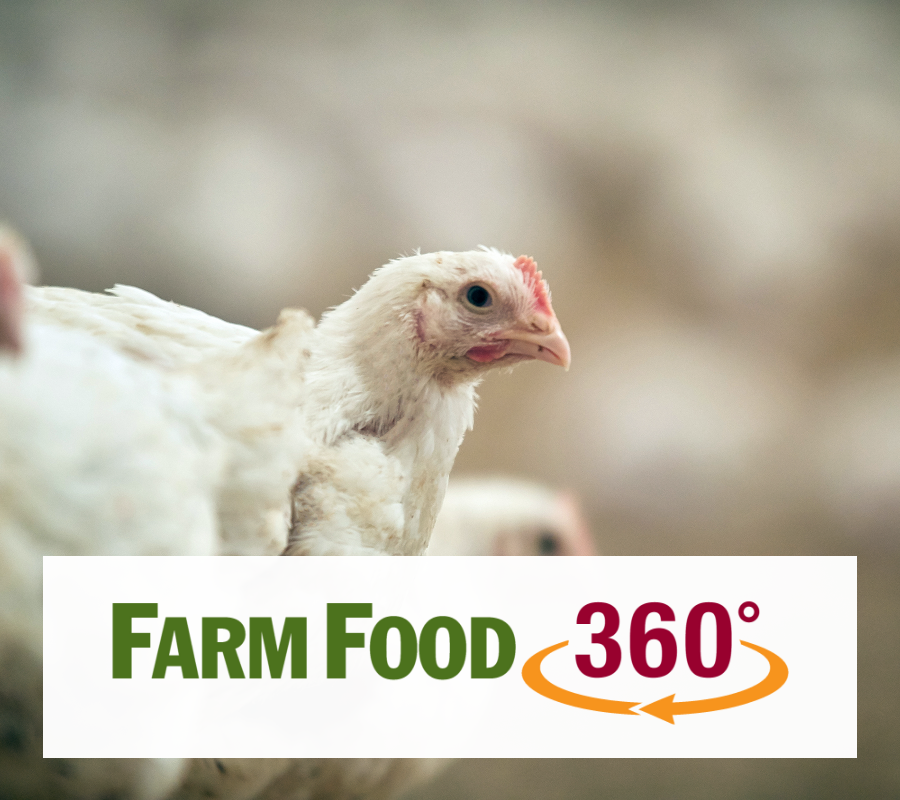 A chicken with the Farm Food 360 logo