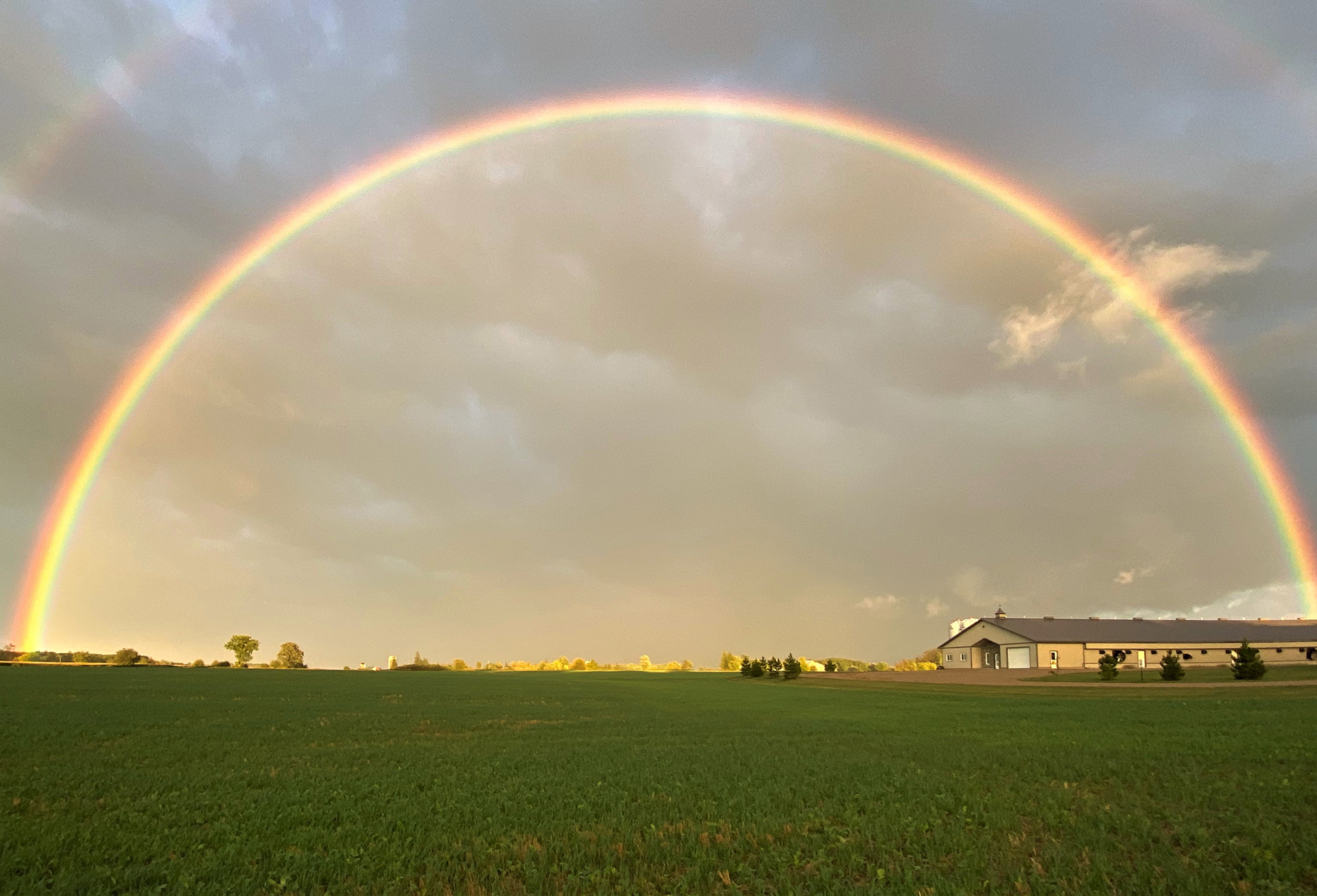 A full rainbow over a farm field